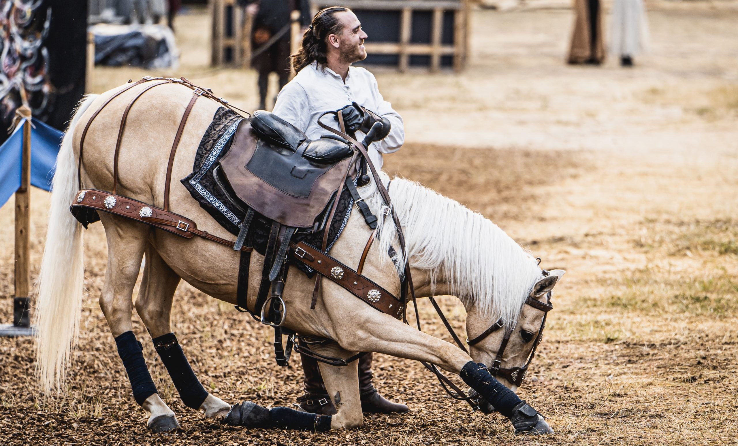 Représentation spectacle grand est