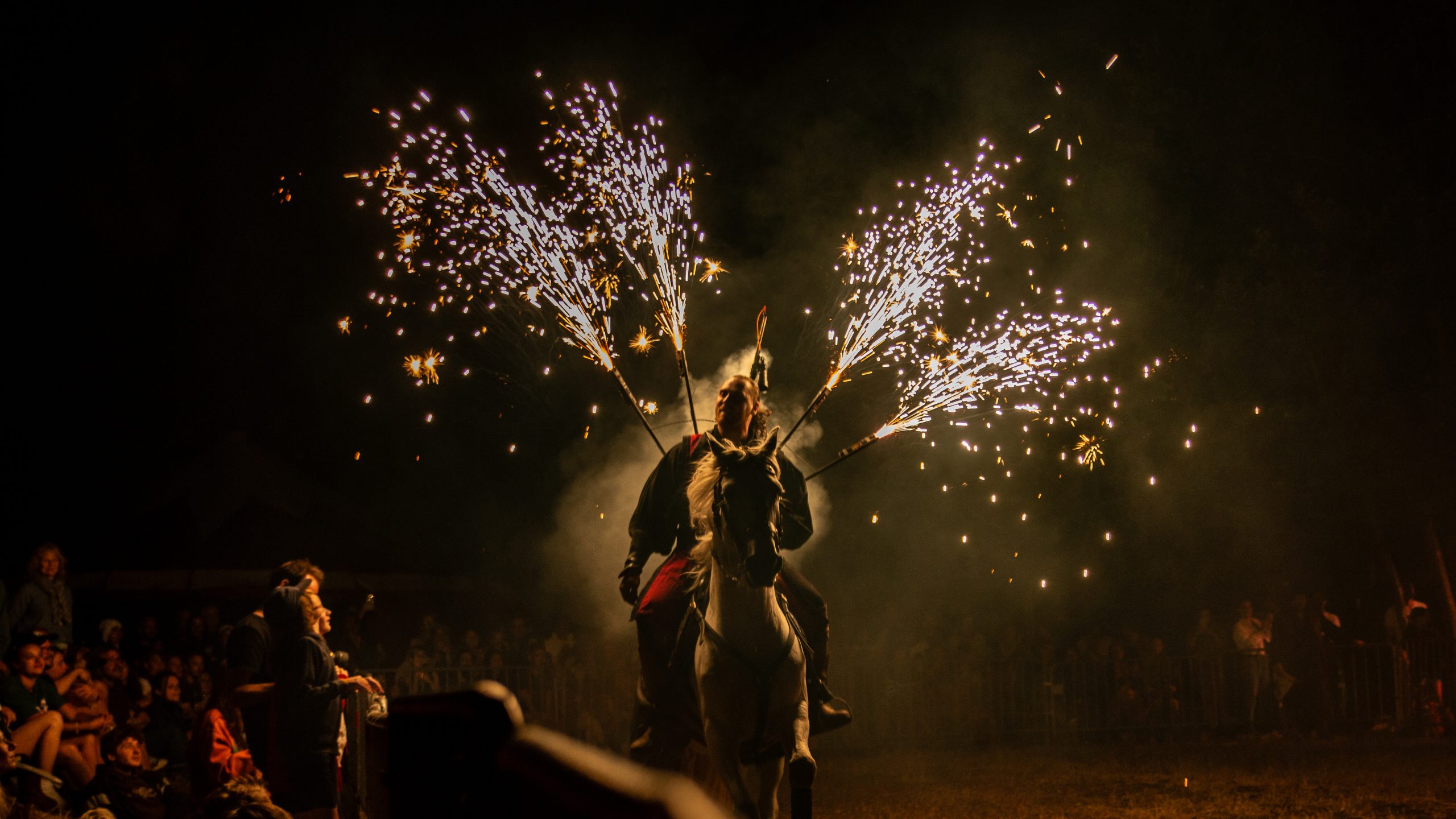 Représentation spectacle grand est cheval artifice